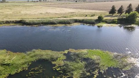 Brannan Island — wetlands, open water, river