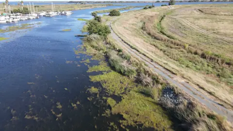 Brannan Island — wetlands, river, open water