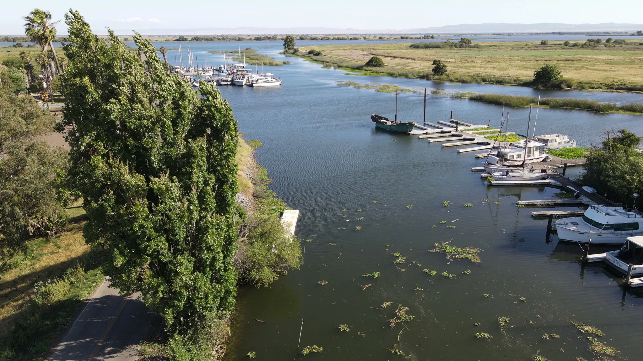 Aerial view of Brannan Island — wetlands, river, boats