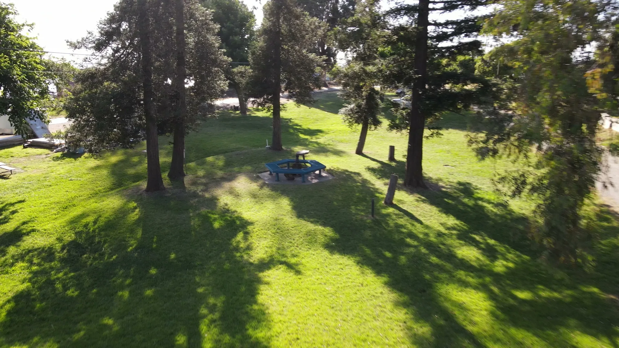 Green campground under shade trees at Brannan Island